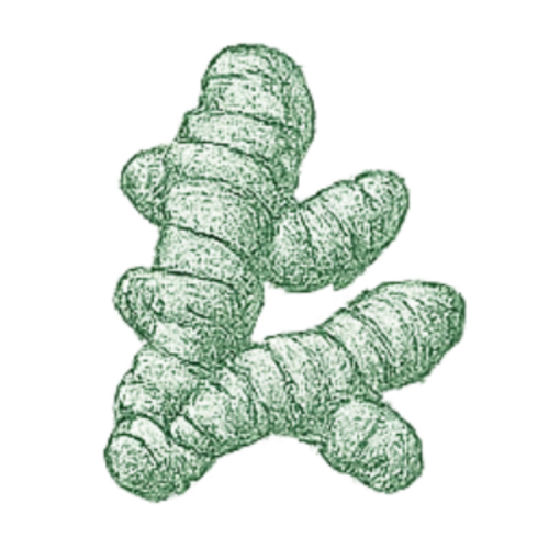Curcumin