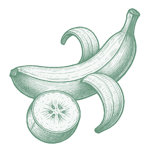 Chaire de banane planteur