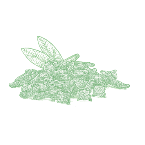 Clou de girofle Indonésie